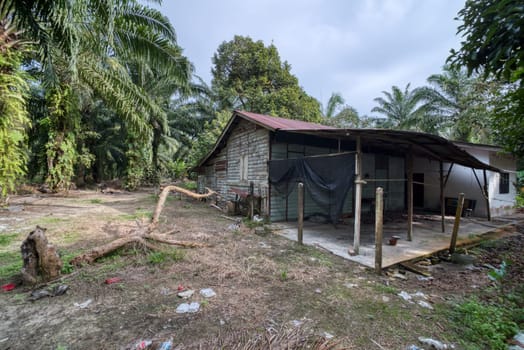 image around a vacant dilapidated house stands alone at the plantation