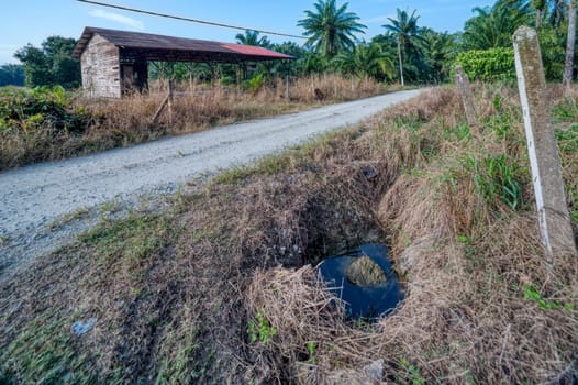 image around a vacant dilapidated house stands alone at the plantation