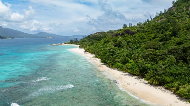 A calm sandy beach surrounded by dense tropical vegetation and palm trees. Seychelles, Therese island.