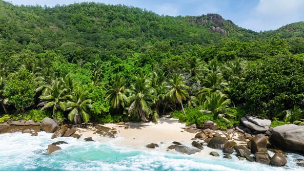 A sandy beach surrounded by dense tropical forest with waves gently lapping against the shore. Seychelles, Mahe. Anse Capucins.