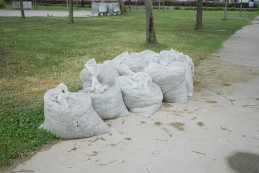 Several filled trash bags are lined up on a park sidewalk.