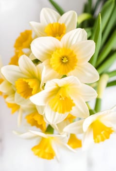 flowers daffodils spring bouquet green nature flora Easter holiday women's day yellow white plants botanical garden species variety petals bud stamens. High quality 3d illustration generated ai alt
