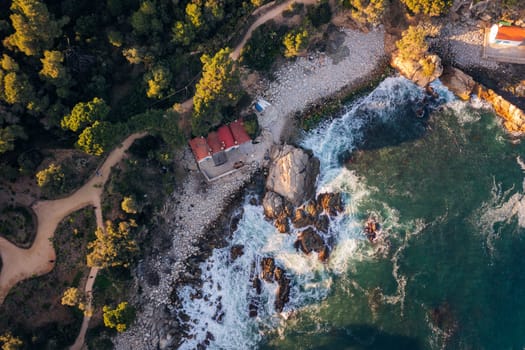 top view of a rocky cove next to a pine forest with some fishermen's huts on the pebble beach, concept of nature and seafaring lifestyle