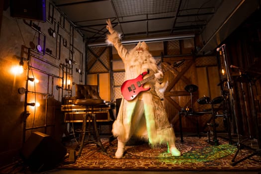 Low angle of Santa Claus in white costume play with guitar in bar while standing on stage and showing victory sign two fingers