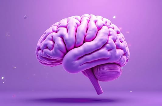 Visualization of the structure and shape of the human brain in shades of purple. Anatomical features and aesthetic appeal of the most complex organ.