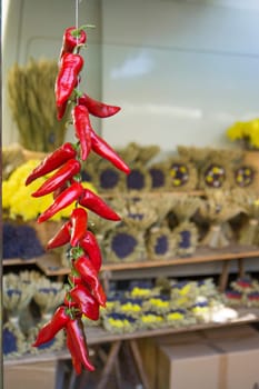 Red peppers hung to dry at a market in Provence France
