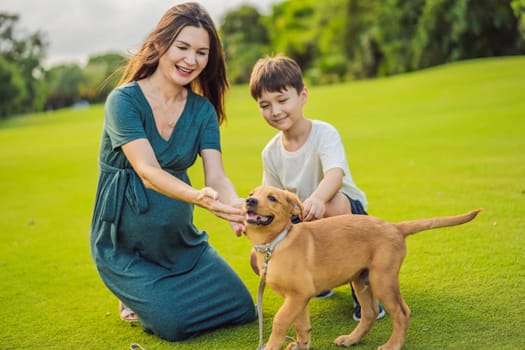 A heartwarming moment captured in the park as a pregnant woman after 40 shares a special bond with her teenage son, embracing the beauty of mother-daughter connection.