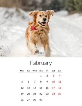 February 2024 year Photo calendar with cute dogs. Annual daily planner template with doggy pets. The week starts on Monday