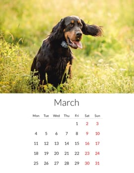 March 2024 year Photo calendar with cute dogs. Annual daily planner template with doggy pets. The week starts on Monday