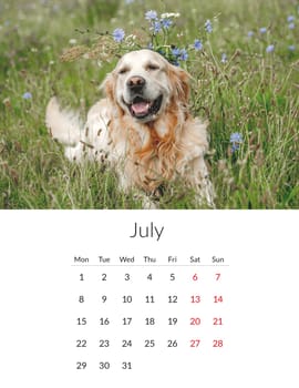July 2024 year Photo calendar with cute dogs. Annual daily planner template with doggy pets. The week starts on Monday