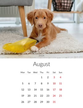 August 2024 year Photo calendar with cute dogs. Annual daily planner template with doggy pets. The week starts on Monday