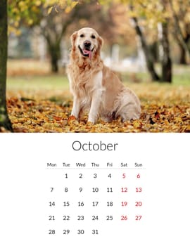 October 2024 year Photo calendar with cute dogs. Annual daily planner template with doggy pets. The week starts on Monday