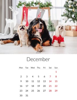 December 2024 year Photo calendar with cute dogs. Annual daily planner template with doggy pets. The week starts on Monday