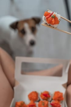 A woman sits on the sofa and eats rolls. Jack Russell Terrier dog sits on the floor and begs for food from its owner