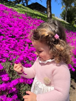 Cute little girl is playing with purple flowers, toddler looking at flower