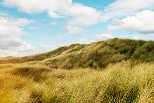 Beautiful view of dunes and sandy walkway to the beach in Wales UK