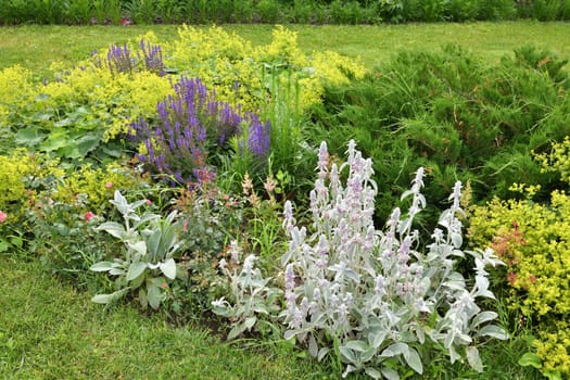 Landscape design with a different wild plants