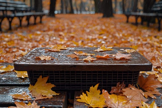 Rainwater collects on a basket as vibrant leaves blanket the ground in a park.