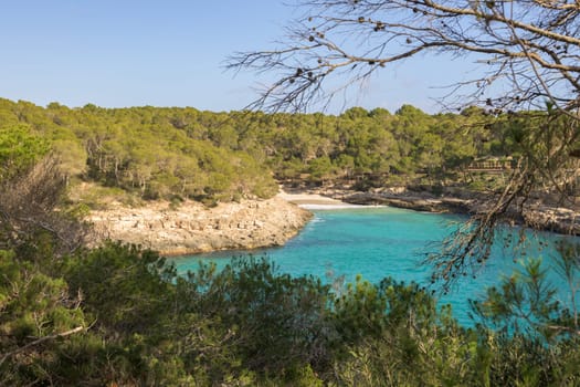 Calm bay with turquoise water surrounded by thick forest, cala mondrago, mallorca, balearic island, spain,