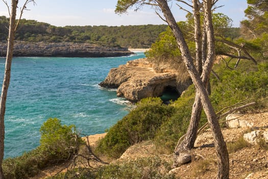 Rocky coastline with trees and waves lapping against the shore, cala mondrago, mallorca, balearic island, spain,