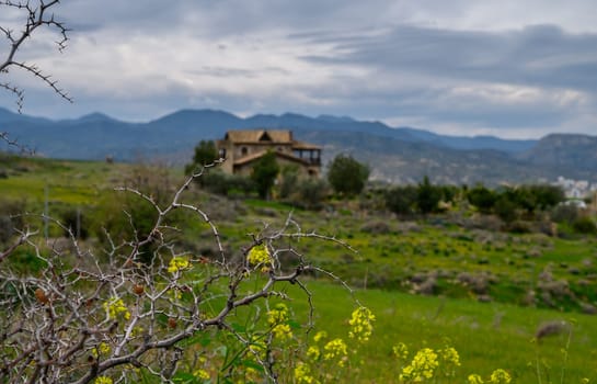 An old house sits quietly among lush green hills, surrounded by wildflowers and distant mountains under cloudy skies.