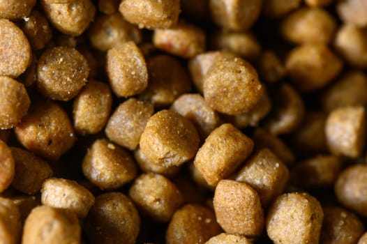 High-quality pet food boasts rich textures and golden hues, showing care for furry friends at lunchtime.