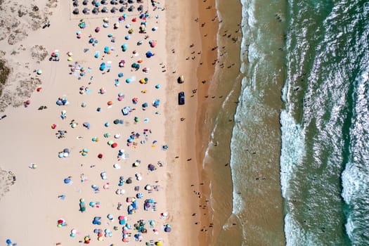 Overhead drone shot of anonymous tourists and parasols on sandy seashore. Directly above view of people enjoying summer vacations at beach during sunny day