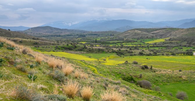 Rolling hills burst with shades of green and yellow, showcasing nature's beauty under a moody, overcast sky.