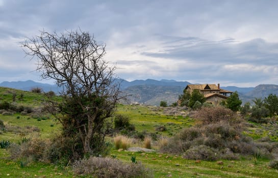 Serene countryside revealing a charming house set among rolling hills and a solitary tree against a moody sky
