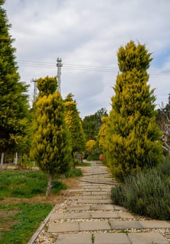 A tranquil walkway surrounded by lush trees invites a peaceful stroll under an overcast sky.