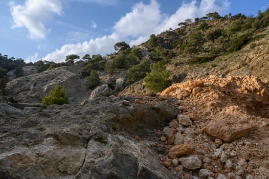 Vibrant landscape showcases rocky hills and scattered trees under a sunny sky with fluffy clouds floating by.