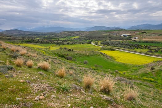 Rolling hills showcase a beautiful blend of green and yellow, framed by mountains under a moody sky during spring.