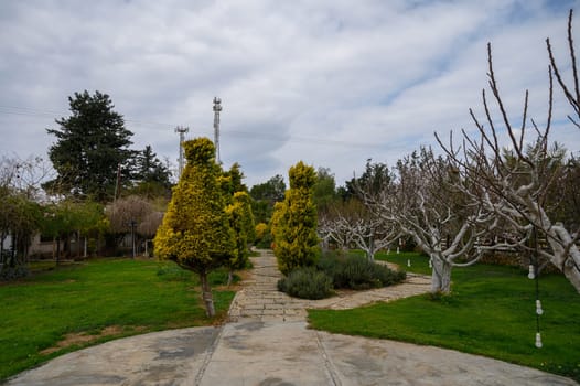 Walk along a charming path surrounded by vibrant foliage and distinctive trees, inviting tranquility and reflection.