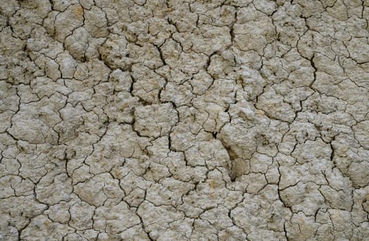 Parched earth showcases deep fissures created by prolonged dry conditions under the bright sun.