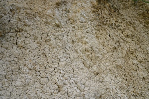 Dried and parched soil reveals intricate patterns under the bright midday sun in a desolate rural area.