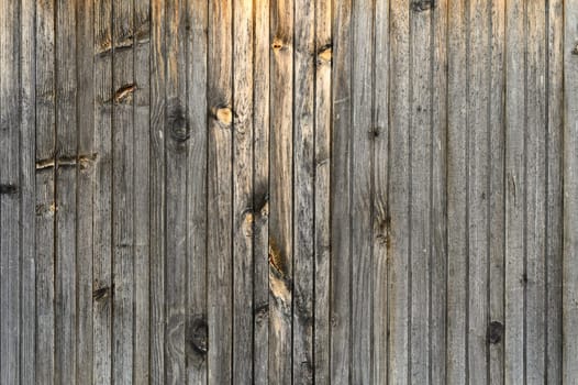 Unique textures and patterns emerge from the aged wood, capturing the essence of natural elegance during sunset.