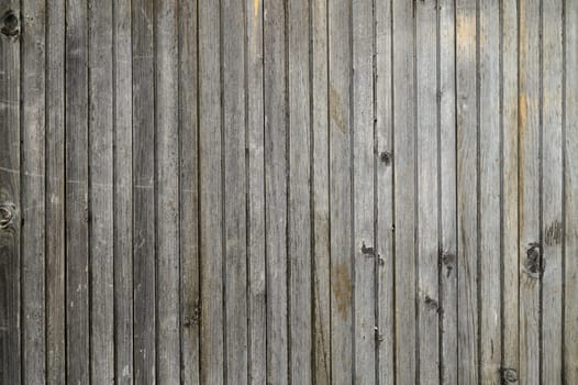 Weathered wooden panels create a charming backdrop, perfect for evoking a sense of nostalgia and comfort indoors.