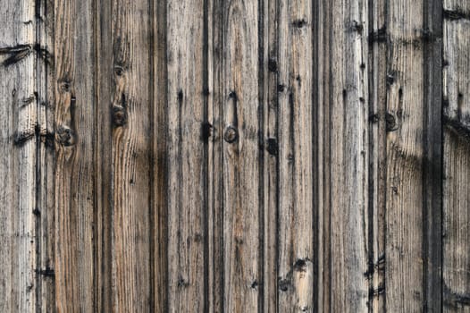 Sunlight dances upon worn wooden planks, showcasing their textured surface and aged beauty in a rustic setting.