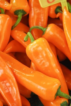 Fresh orange chili peppers displayed at a vibrant market for sale.