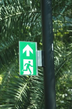 Bright green emergency exit sign with an arrow in a tropical location.