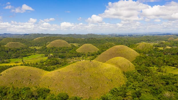 Aerial view of Chocolate hills in Bohol island,Philippines. Hills covered with grass and vegetation.