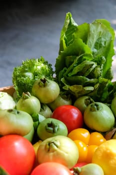 Vegetables in a basket on a dark background. Healthy food.