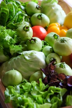 Variety of fresh vegetables in a wooden box. Selective focus.