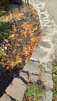 Autumn leaves stream nature travel tourism summer day park background landscape forest green street . High quality photo