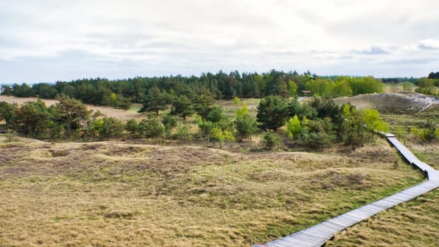 Landscape shot at the dunes by the sea, with trees in the background. Coastal landscape on the Baltic Sea