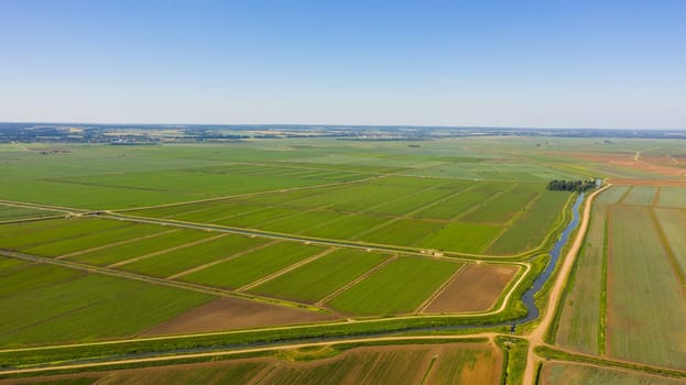 Land or landscape of green field in aerial view. Green field, crop, agricultural plant.