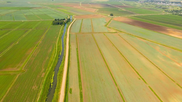 Top view agricultural landscape areas. Green crops in field in early summer.
