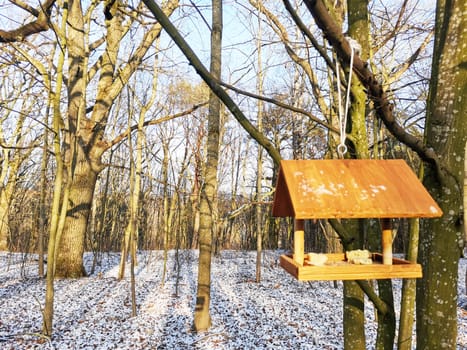 Wooden eco bird feeder in the winter forest. Clear frosty day. Feeding wild birds