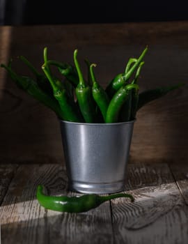 Vibrant green chilies rest in a silver bucket, illuminated by soft sunlight against a dark background.