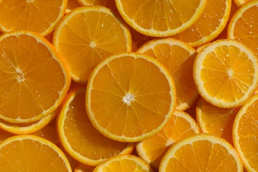 Citrusy orange slices lay scattered together, showcasing their juicy texture and vivid color under warm sunlight.